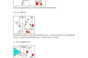 为什么中锋需要特别的战术训练:深入探讨与最佳策略
